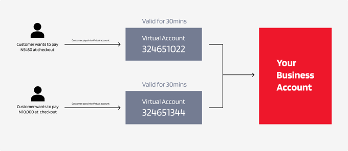 SeerBit dynamic virtual account