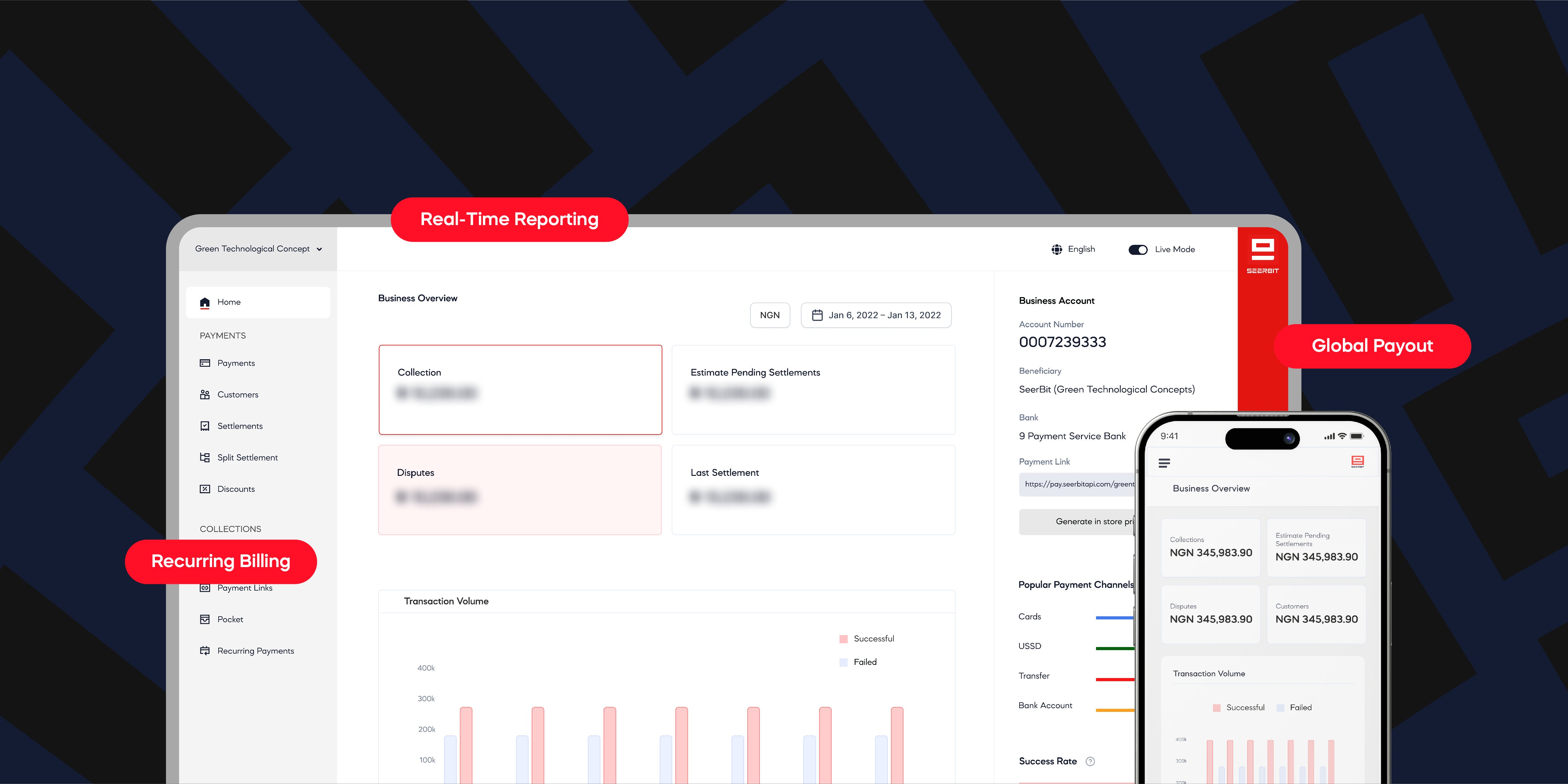 How SeerBit Optimises Business Payments-01